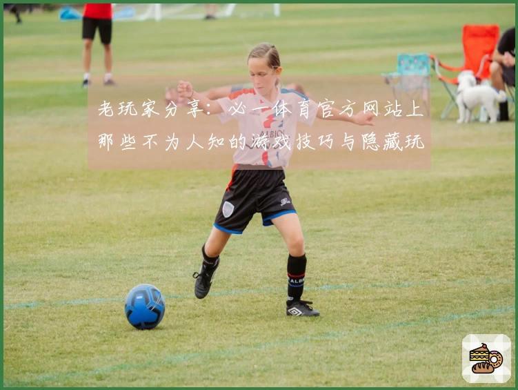 老玩家分享：必一体育官方网站上那些不为人知的游戏技巧与隐藏玩法