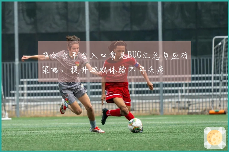 华体会平台入口常见BUG汇总与应对策略，提升游戏体验不再头疼