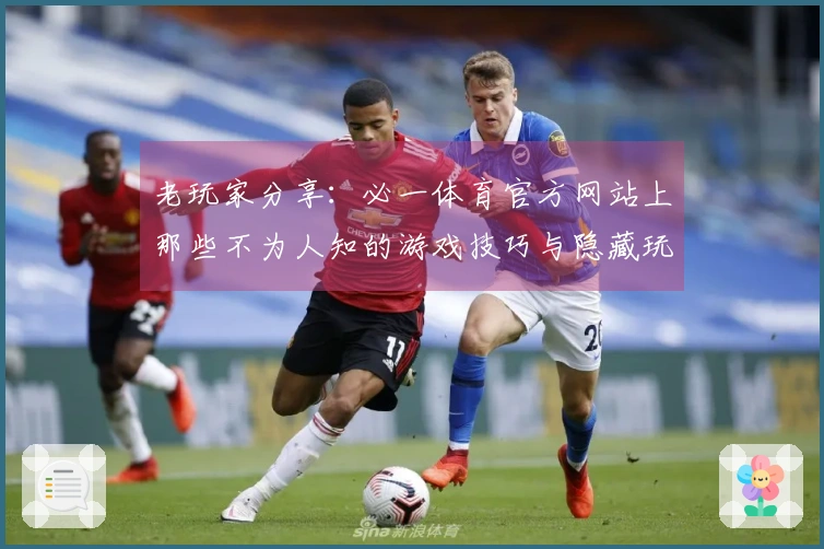 老玩家分享：必一体育官方网站上那些不为人知的游戏技巧与隐藏玩法