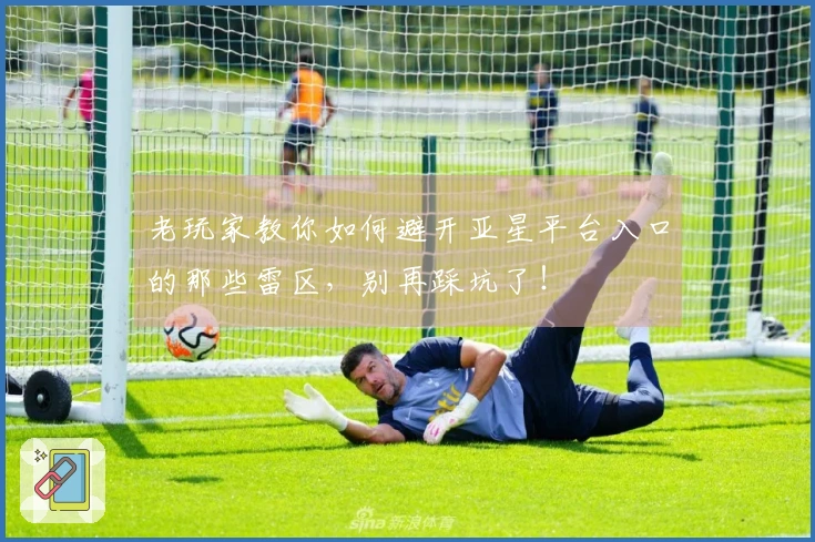 老玩家教你如何避开亚星平台入口的那些雷区，别再踩坑了！